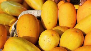Timun Suri. Elongated Melon