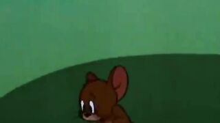 Tom & Jerry Classic Cartoon Scene 😂 | Unexpected Chase & Funny Moment