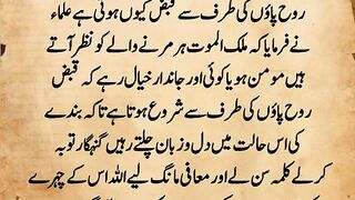 Best Urdu poetry 16