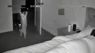 The ANNOYING CAT 4 😂