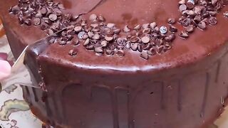 Delicious chocolate cake 2