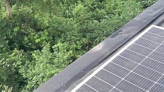 Solar panels 3