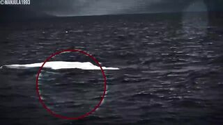 60 Living Extinct Animals Captured on Camera!