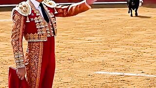 World Leaders Bull Game 😂.mp4