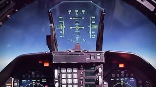 Why The World's Fastest Jet LEAKED Fuel On Purpose ⛽ #Shorts