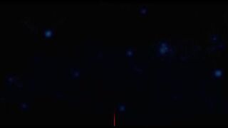 Проснись меретвец