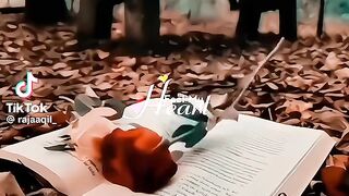 Nice video 685
