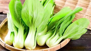 Pakcoy. Bok choy. 白菜. 上海青（或称油菜、小白菜). 上海青（或稱油菜、小白菜). Бок-чой. Pak Choi. チンゲン菜