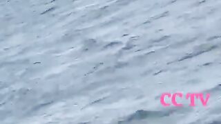 Ocean is huge wide like wise