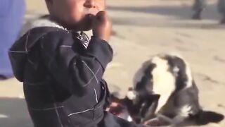 A Hungry Small Boy \\ Big Video Mrwhen Nice Febspot video