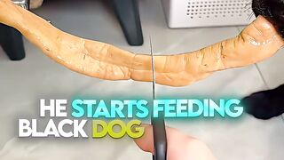 He Deserves More Dog Reaction