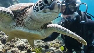 When Marine Life Dabs You Up! 🐢🐬 Underwater POV Went Wild! (Must Watch)