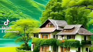 FOREST 2