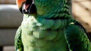 The Parrot Repeated EVERYTHING She Said! 😂🦜