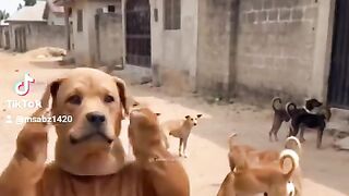 موطن_ الشبهات #السعودية #جدة #قرية_القامرة.mp4