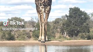 Gerafy drinking water