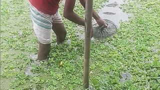 জাল দিয়ে মাছ ধরার দৃশ্য,