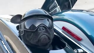 HELMET ON, GOGGLES DOWN LETS ROLL