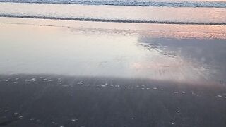 Beach 31