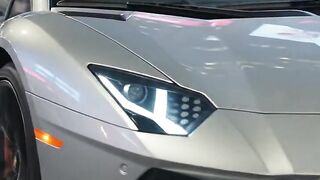Lambo Vs police reaction  🔥🖕