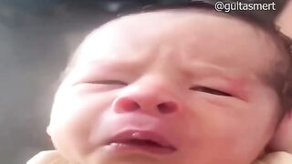 Try not to Laugh ❗