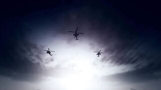 Цена свободы