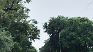 15 August 4