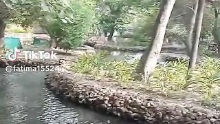 Lahore Zoo