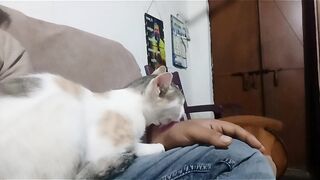 My lovely cat 3
