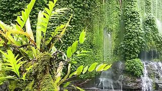 Nature of curug hujan lemo nakai, north Bengkuku