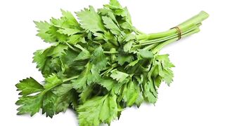 Seledri. Celery. 芹菜. Сельдерей. セロリ. Селера. Sellerie. Apio