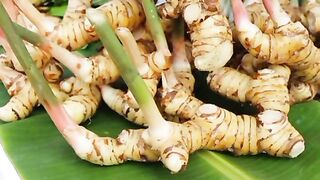Lengkuas. Galangal. 加蘭加爾. 高良姜. 高良薑. ガランガル. Галангал. Galgant. Galanga