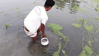 গ্রামের প্রাকৃতিক দৃশ্য মাছ ধরা,