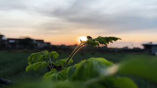 Relax... Let Nature Tell the Story