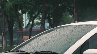 When Rain Makes Nature More Beautiful
