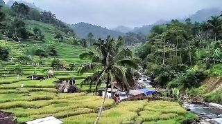 Atmosphere of a riverside village 📍 Wangun Hamlet, Gelarwangi Village, Cidaun, South Cianjur