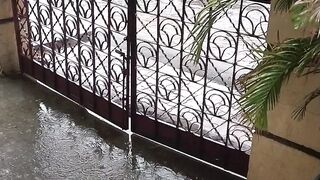Rainy season 2026