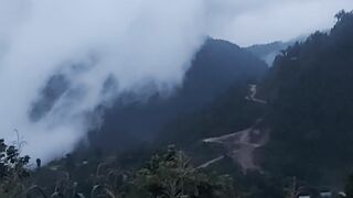 Beautiful View 41