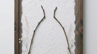 DIY Eco-Friendly Nature Craft | Aesthetic Botanical Wall Hanging Art