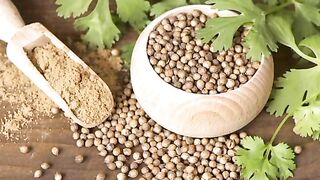 Ketumbar. Coriander. 香菜. コリアンダー. Коріандр. Кориандр. Koriander. Cilantro. Coriandolo