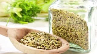Adas. Fennel. 茴香. フェンネル. Фенхель. Fenchel. Hinojo. Finocchio. Fenouil