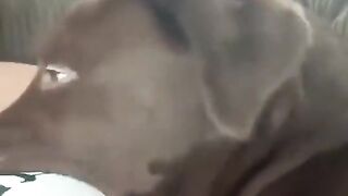 😆😆😆😆😆😆