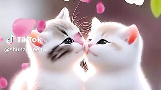 Butifull cat