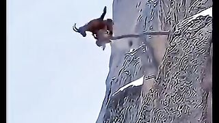 Aytul kursi