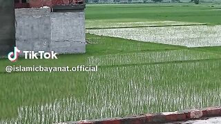 Febspot is Platform||Islamic video||Mrwhen Nice 2 Febspot