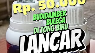 Budidaya lele diember, galon, ditong biru, ini TIPSnya
