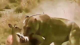 Most Emotional video