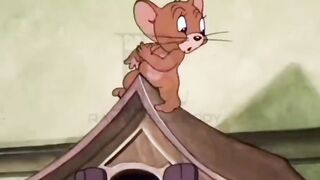 Tom & Jerry’s Funniest Cat and Mouse Chaos 😂 | Classic Cartoon Comedy