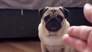 Funny videos???????????? 4