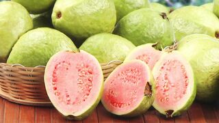 Jambu Biji. Guava. 番石榴. グアバ. Гуава. Guave. Guayaba. Guaiava. Goyave.